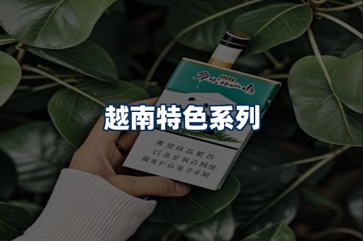 越南香烟展示